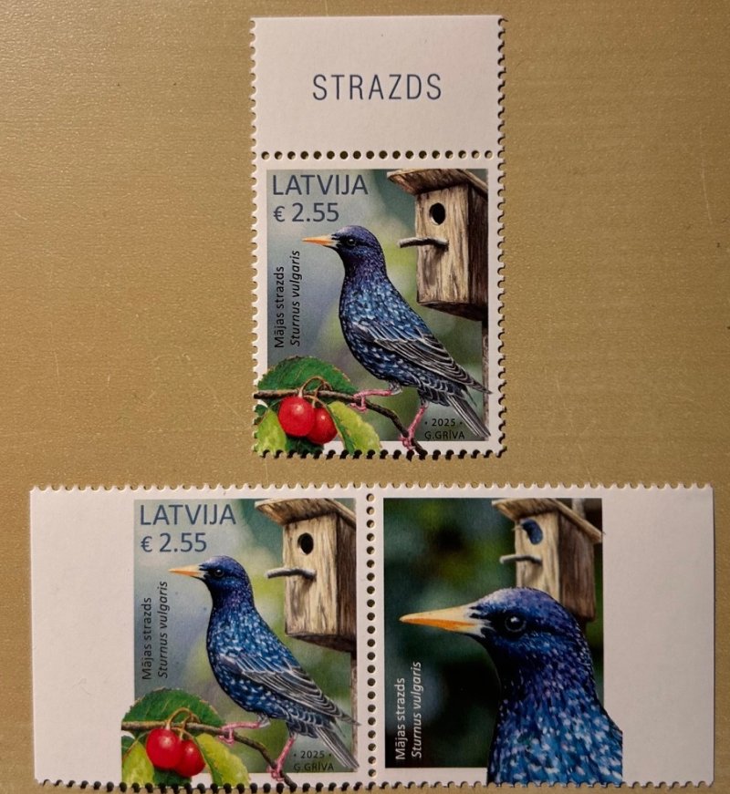 Latvia 2025 Bird common starling Both types stamps set MNH - Image 1