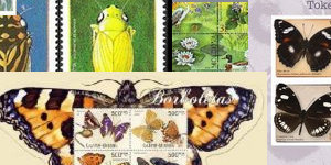 Insects and arthropods