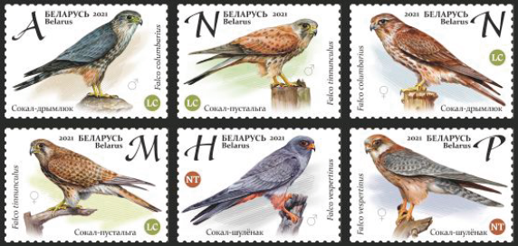 Belorussia Belarus 2021 Birds Falcons Set of 6 stamps MNH