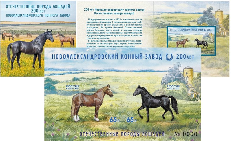 Russia 2025 Horses Novoalexandrovsky stud farm 200 ann Limited edition numbered imrefrorated block MNH in booklet - Image 1