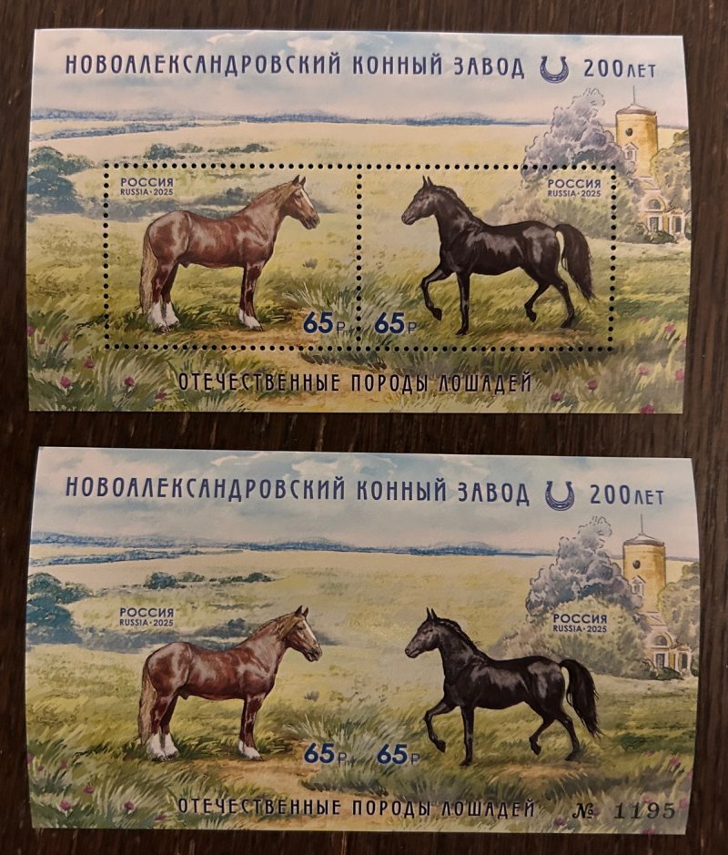 Russia 2025 Horses Novoalexandrovsky stud farm 200 ann Set of 2 blocks perforated and rare imperforated MNH - Image 1