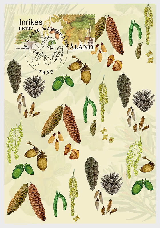 Aland Finland 2026 Trees and their cones and seeds Maxicard