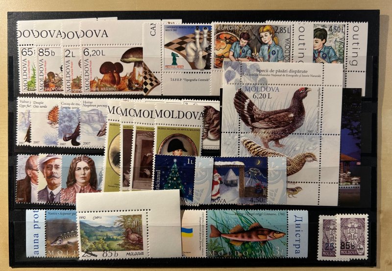 Moldova 2007 Year set stamps and blocks MNH - Image 1