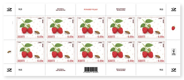 Estonia 2026 Red Fruits Insects raspberry Aita & raspberry beetle Sheetlet MNH - Image 1
