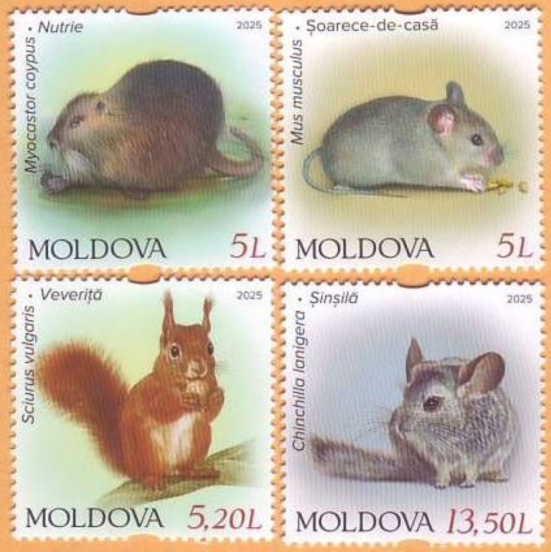 Moldova Moldavia 2025 Fauna Mammals rodents Set of 4 stamps MNH - Image 1