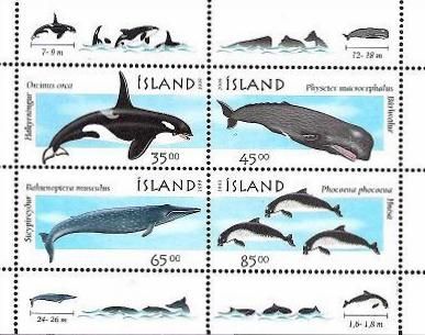 Iceland 1999 Whales and Dolphins, Issue I. block