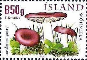 Iceland. Mushrooms. Issue VI. Russula xerampelina. Stamp (1)