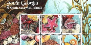 South Georgia and South Sandwich Islands