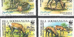 Somalia
