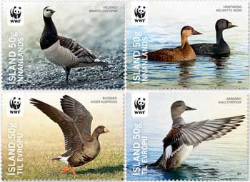 Iceland Island Istande 2011 WWF Rare water birds Set of 4 stamps MNH