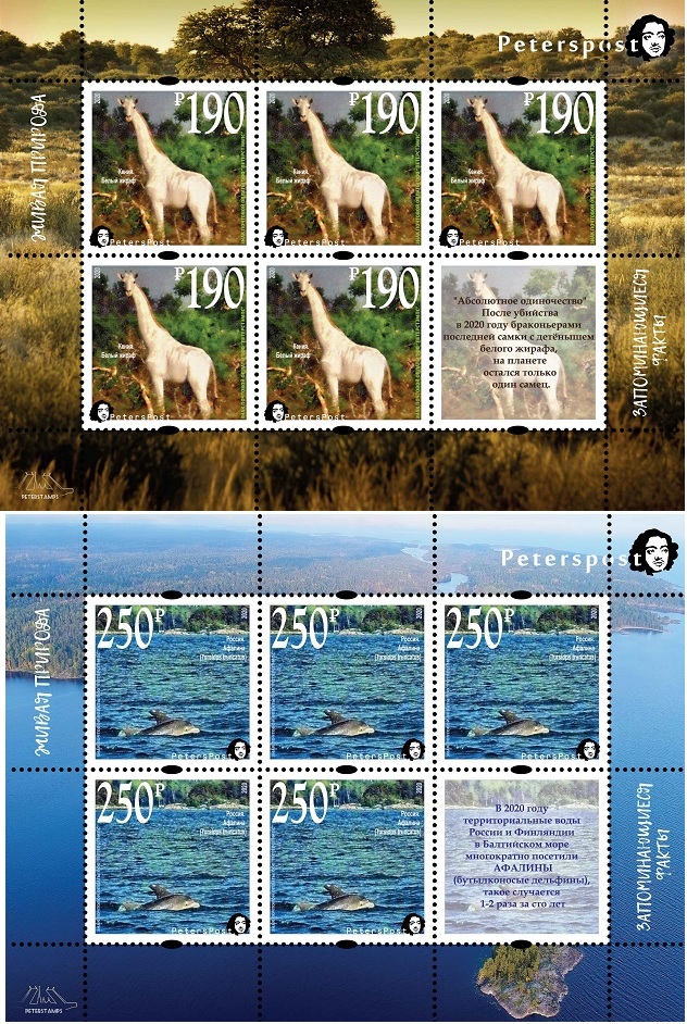 Russia 2020 Fauna Wild life 'Memorable facts' White giraffe and Bottlenose dolphin Peterspost set of 2 sheetlets of 5 stamps and label each MNH - Image 1