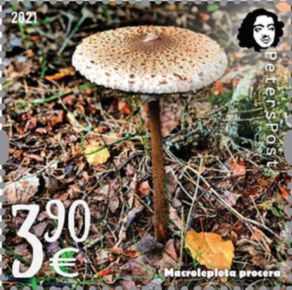 Finland 2021 Parasol mushroom a delicacy of gastronomy Peterspost single stamp from sheetlet mint