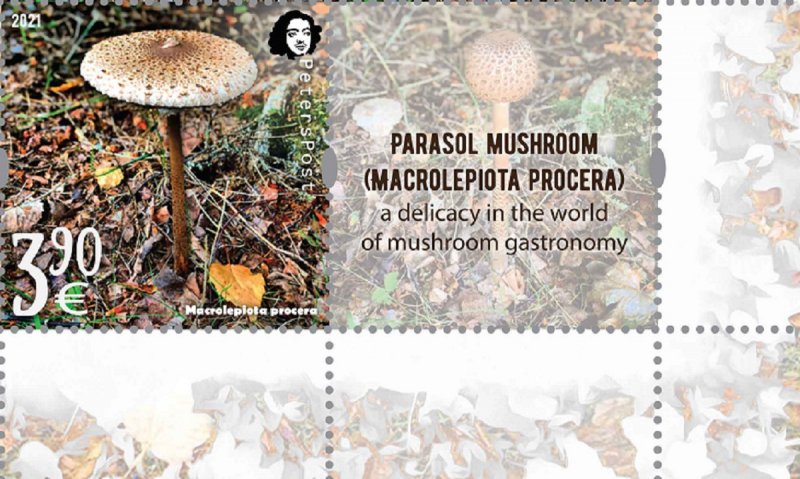 Finland 2021 Parasol mushroom a delicacy of gastronomy Peterspost sheetlet stamp with label mint - Image 1