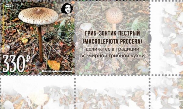Russia 2021 Parasol mushroom a delicacy of gastronomy Peterspost stamp with label MNH