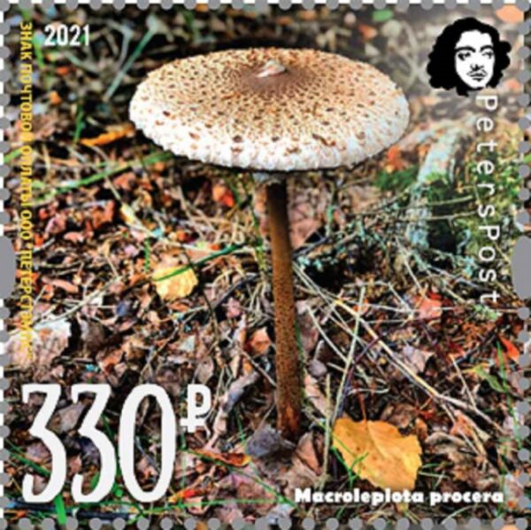 Russia 2021 Parasol mushroom a delicacy of gastronomy Peterspost single stamp MNH