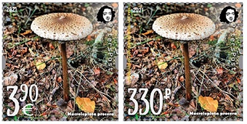 Russia and Finland 2021 Parasol mushroom a delicacy of gastronomy Peterspost joint issue set of 2 single stamps MNH - Image 1
