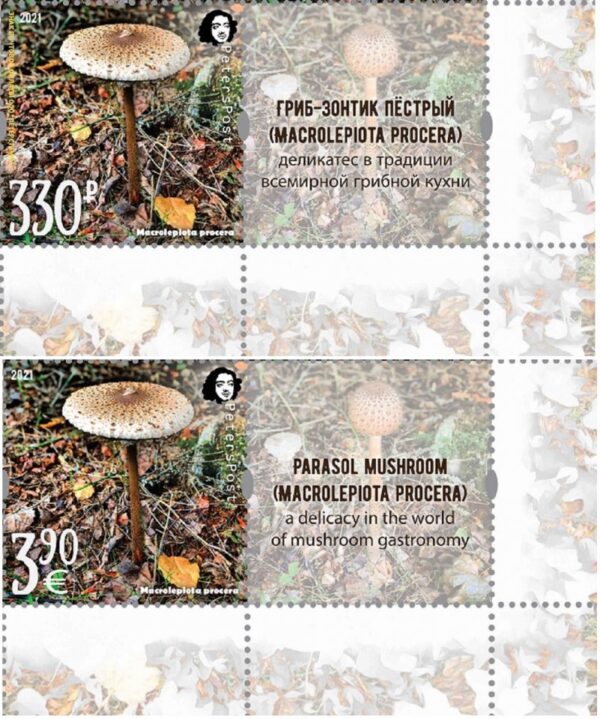 Russia and Finland 2021 Parasol mushroom a delicacy of gastronomy Peterspost joint issue set of 2 stamps with labels mint