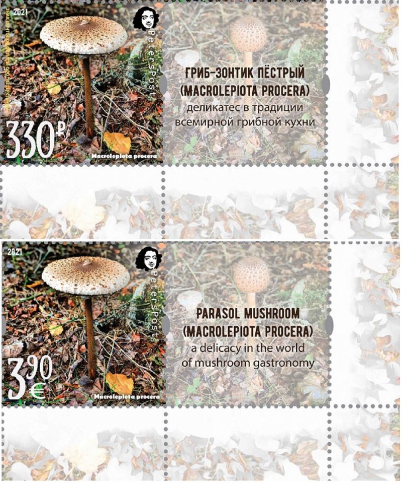 Russia and Finland 2021 Parasol mushroom a delicacy of gastronomy Peterspost joint issue set of 2 stamps with labels mint - Image 1