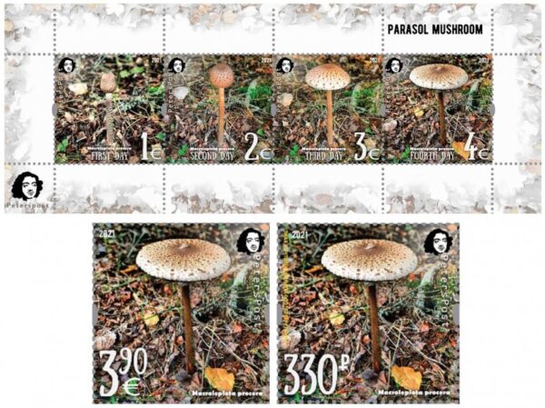 Russia and Finland 2021 Parasol mushroom a delicacy of gastronomy Peterspost joint issue set of 2 stamps and block MNH