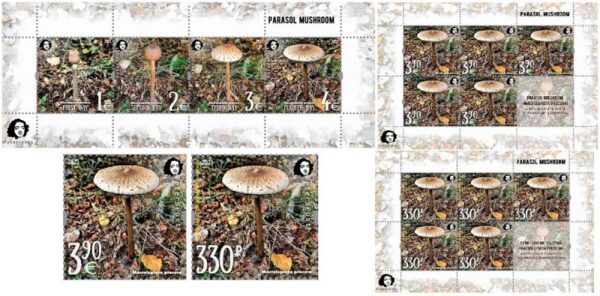 Russia and Finland 2021 Parasol mushroom a delicacy of gastronomy Peterspost joint issue large full complete of 2 stamps block and sheetlets MNH