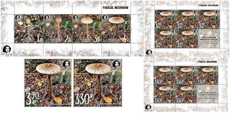 Russia and Finland 2021 Parasol mushroom a delicacy of gastronomy Peterspost joint issue large full complete of 2 stamps block and sheetlets MNH - Image 1