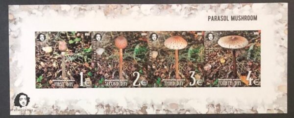 Finland 2021 Parasol mushroom a delicacy of gastronomy Peterspost imperforated limited edition block