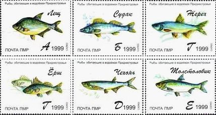 Russian occupation of Moldova (Transnistria DMR PMR) 1999 Fishes of Dnister set of 6 stamps MNH