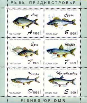 Russian occupation of Moldova (Transnistria DMR PMR) 1999 Fishes of Dnister set of 6 stamps in block MNH