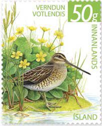 Iceland 2011 Definitives The Nature Conservancy Birds Gallinago gallinago Stamp MNH