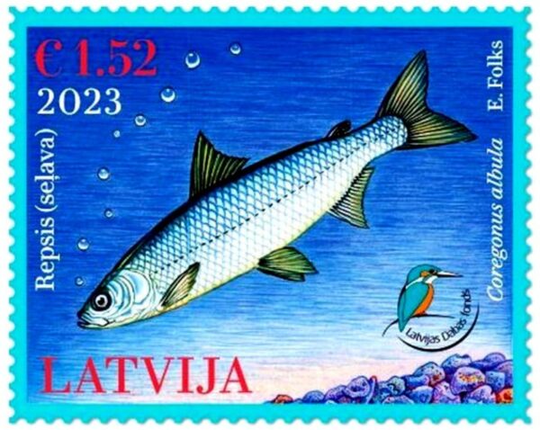 Latvia Lettland 2023 National Nature Fund Fish Vendace stamp mint