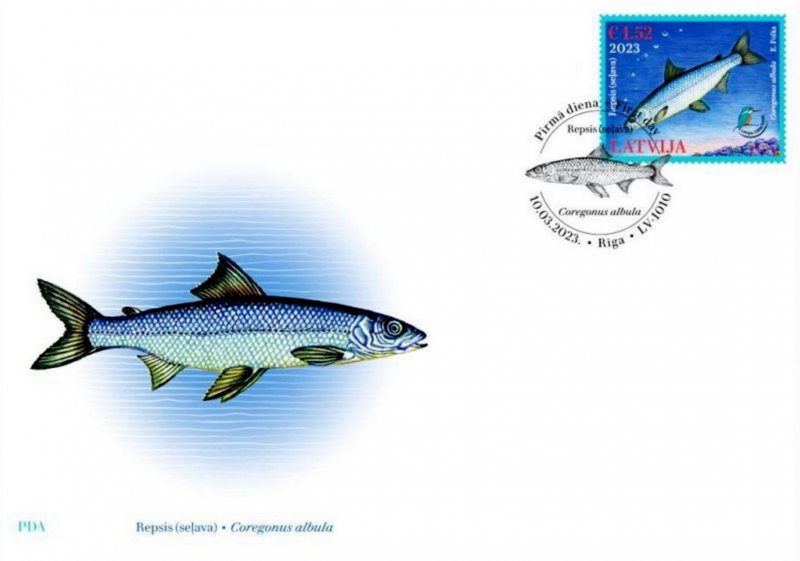 Latvia Lettland 2023 National Nature Fund Fish Vendace FDC - Image 1