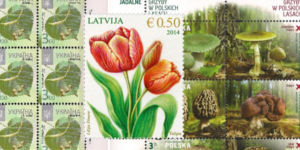 Flora and mushrooms