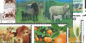 Agriculture