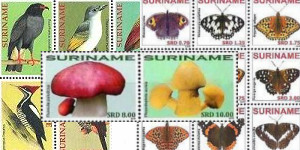 Suriname