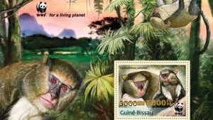 Guinea-Bissau